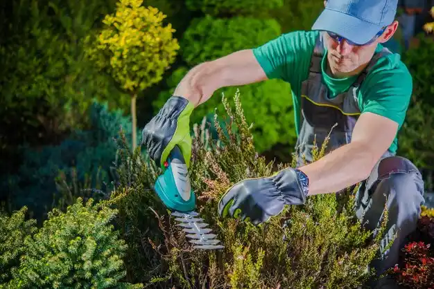 landscaping services Mayfield Heights